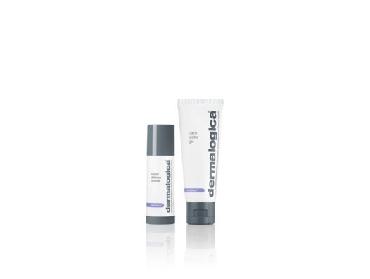 Dermalogica مجموعة العناية بالبشرة لدى وحوه