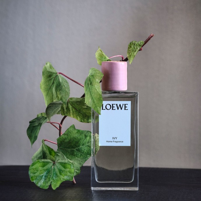 معطرات الجو المنزلية من Loewe