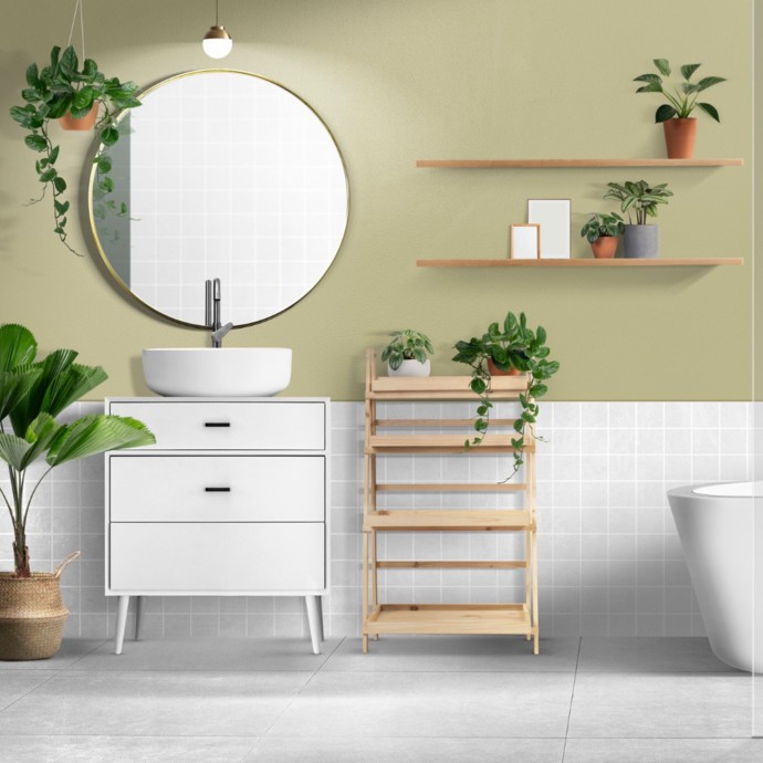 نباتات تعشق البخار الناتج عن الاستحمام