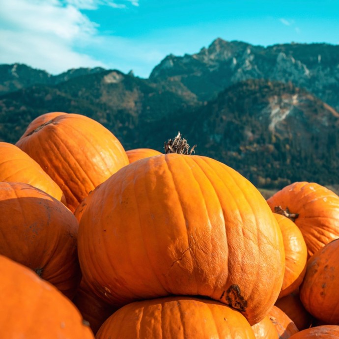 شخص يبحر في قارب من قرع عملاق لمسافة هائلة