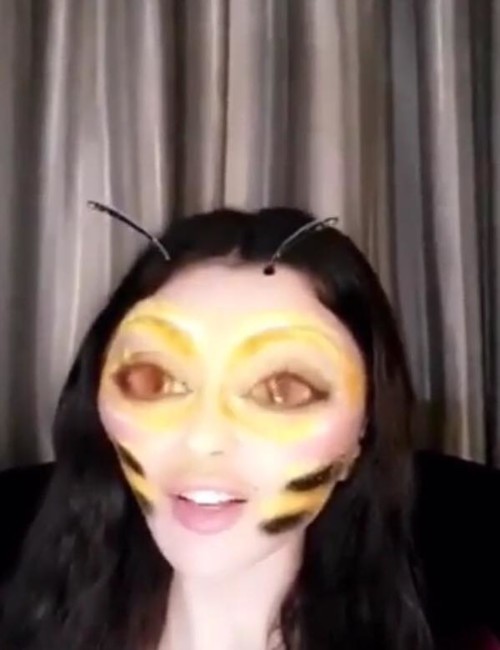 Bee Haifa شغل العالم!