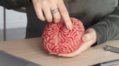 تمارين صباحية لتنشيط الدماغ وتعزيز التركيز والصفاء الذهني