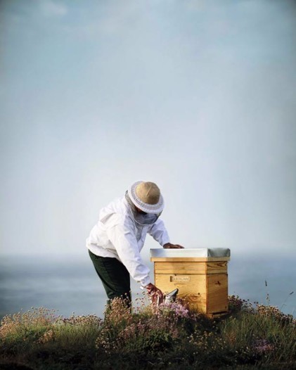 العسل الملكي من Guerlain