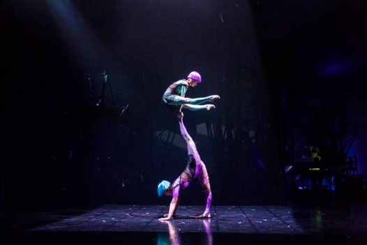 Cirque Du Soleil يقدم عروضه للمرة الأولى تحت القبة الكبيرة