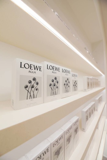 Loewe للعطور وأول متجر مؤقت في مول الإمارات