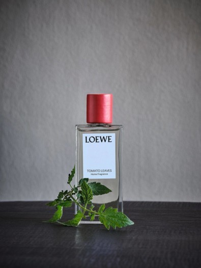 معطرات الجو المنزلية من Loewe
