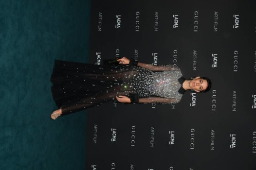 البريق يطغى على إطلالات حفل LACMA Art + Film Gala