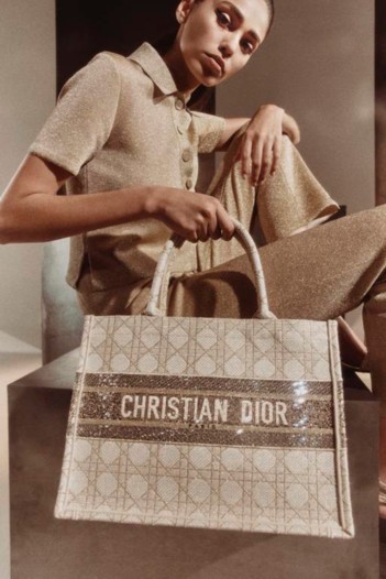 المجموعة الكبسولة Dior Or