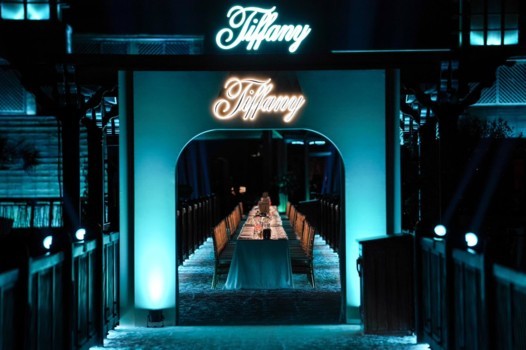 Tiffany & Co تطلق مجموعة "طائر على لؤلؤة" في دبي