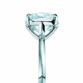 خاتم الخطوبة الجديد من Tiffany & Co