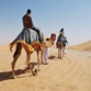 قرية "الليالي العربية" رحلة متكاملة في أعماق التراث الإماراتي الأصيل