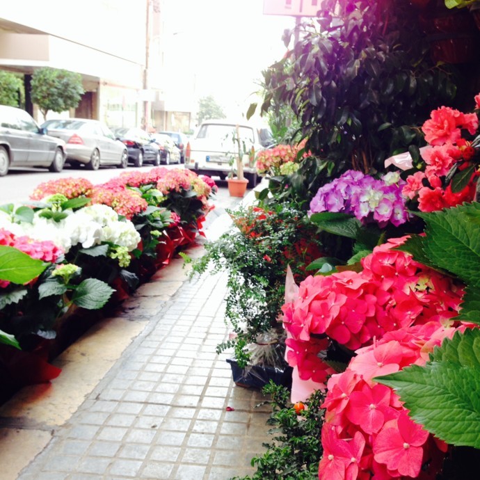 الأزهار تفترش شوارع بيروت!