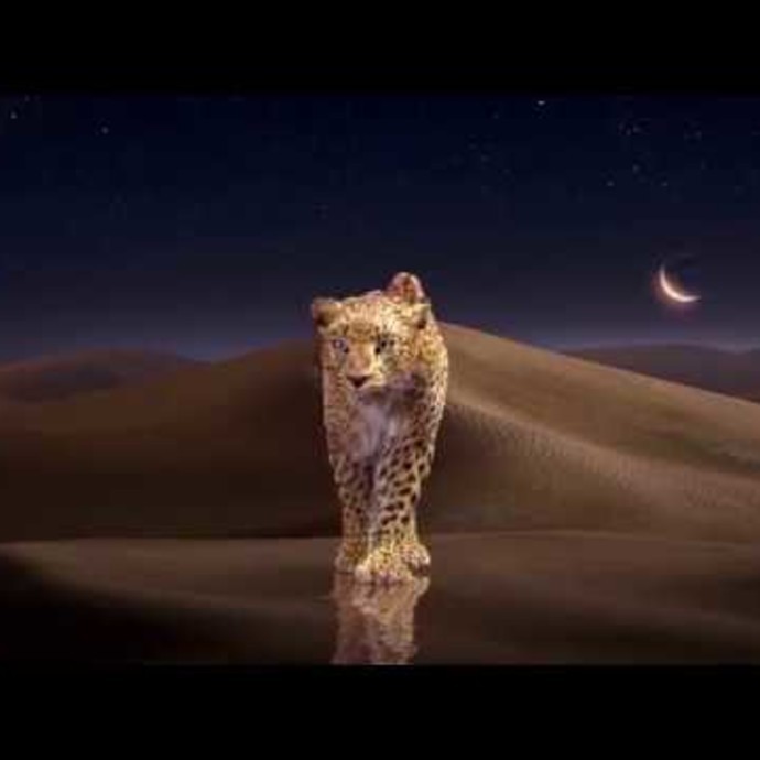 Cartier - Show Emirate