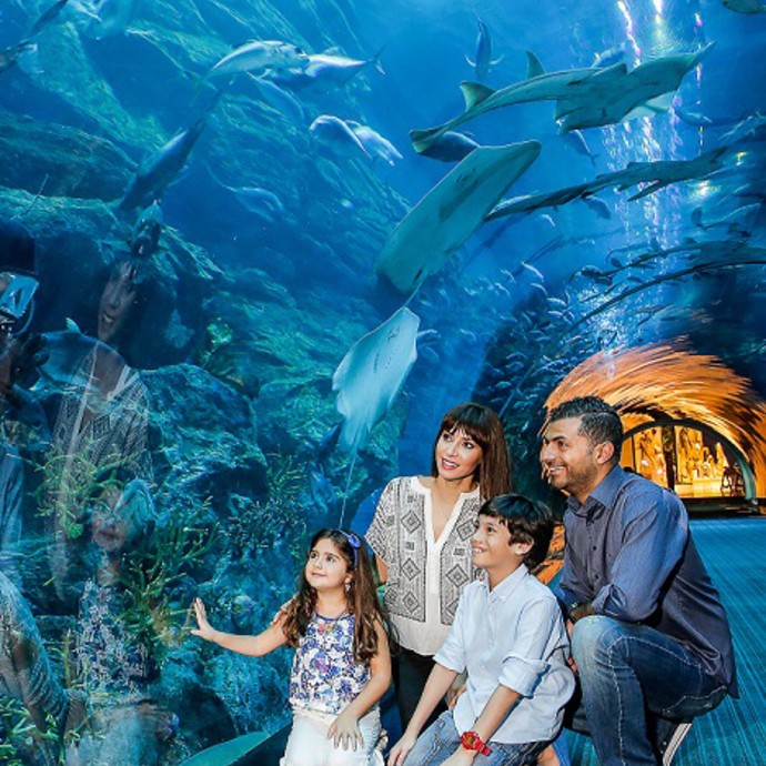 "دبي أكواريوم" يحصد لقب أفضل حوض أكواريوم في العالم