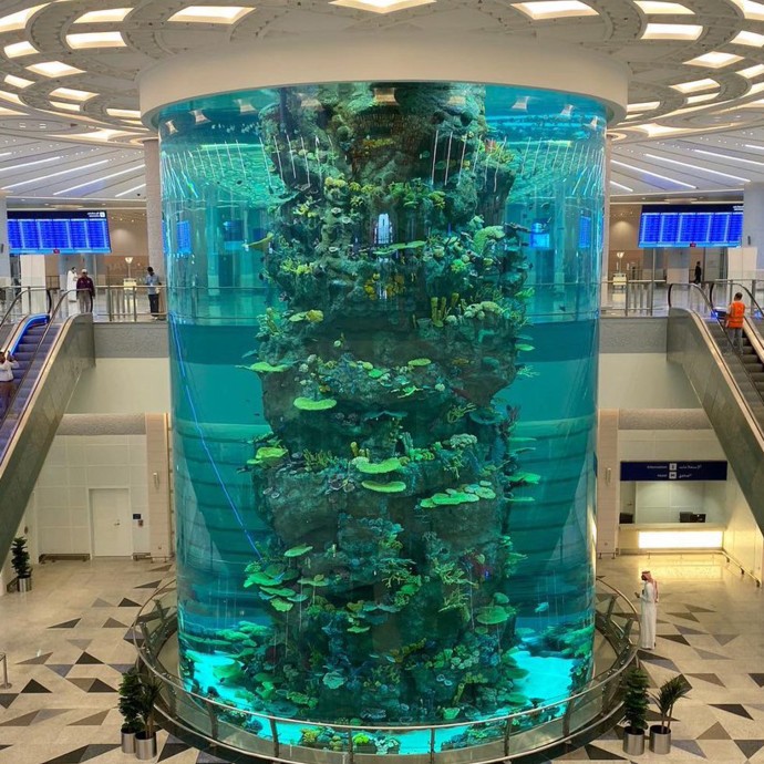 أكبر حوض للأسماك بالعالم في مطار جدة