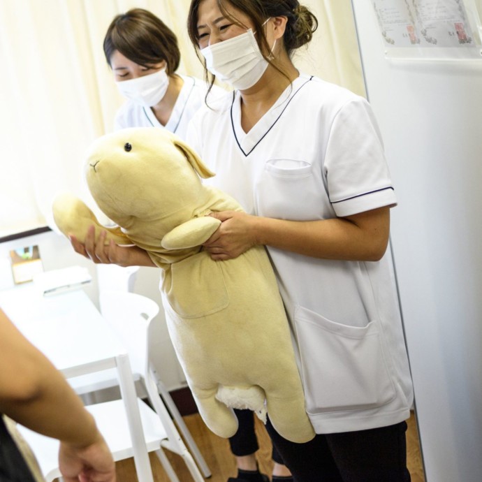 "عيادة" في طوكيو لمعالجة دمى الحيوانات المحشوة
