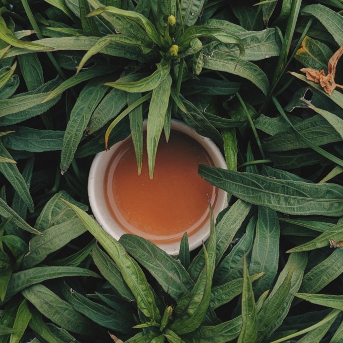 6 فوائد صحية لشاي المريمية