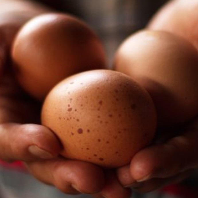 أكثر كمية بيض محمولة في يد واحدة!