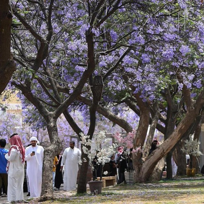 صيف أبها 2022 انطلق "فوق الجبال"!