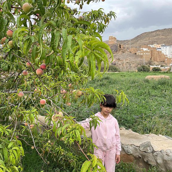 فاكهة ظهران الجنوب تجذب السياح والزوار!