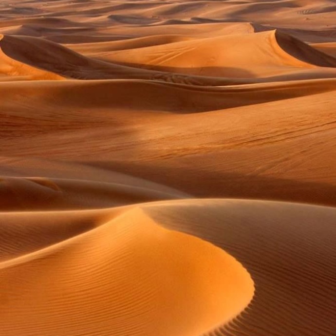 فيلم في الصحراء...