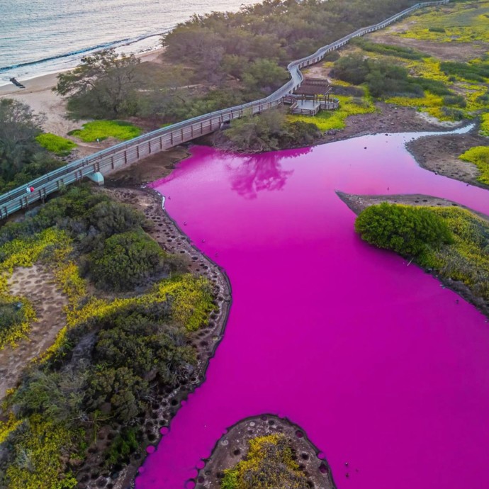 تحوّل بحيرة في هاواي الى اللّون الزهري يثير قلق العلماء