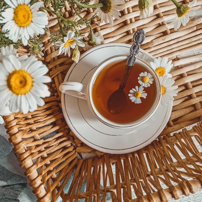 فوائد شاي البابونج ستجعله مشروبك المفضَّل