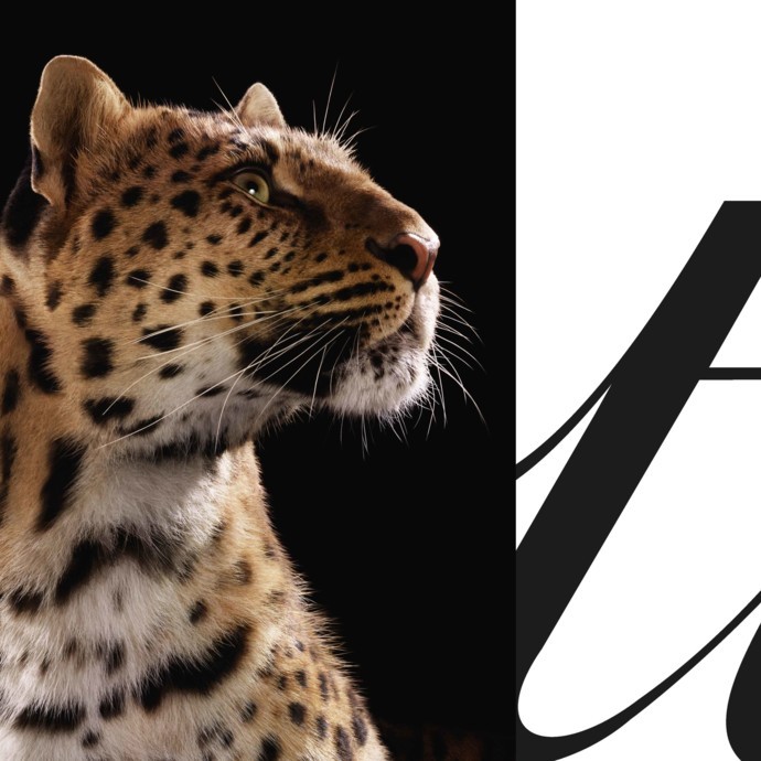 Cartier  تكرّم الفهد الأيقونة بأسلوب ضخم