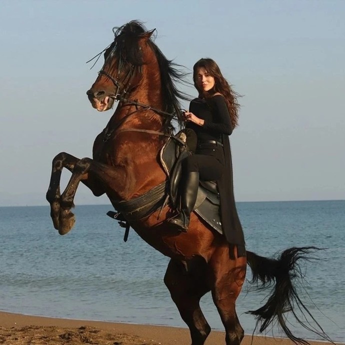 هذه المسلسلات التركية الجديدة على وشك أن تغزو شاشتك
