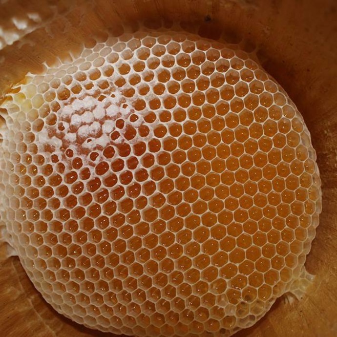 تعرّفي على فوائد عسل  السدر الخالص اليمني