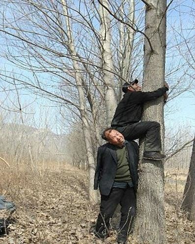 كفيف ومبتور الذراعين يزرعان 10 آلاف شجرة في الصين