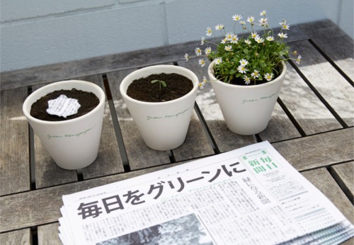 صحيفة Mainichi اليابانية: من نبات إلى نبات...