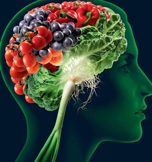 هكذا نساعد الدماغ على التحكّم بكمية الطعام التي نستهلكها!