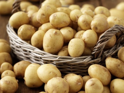 رجيم البطاطس والزبادي لخسارة 5 كيلو في الأسبوع!