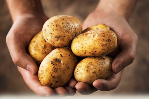 تعرفوا على فوائد البطاطس التي لا غنى عنها