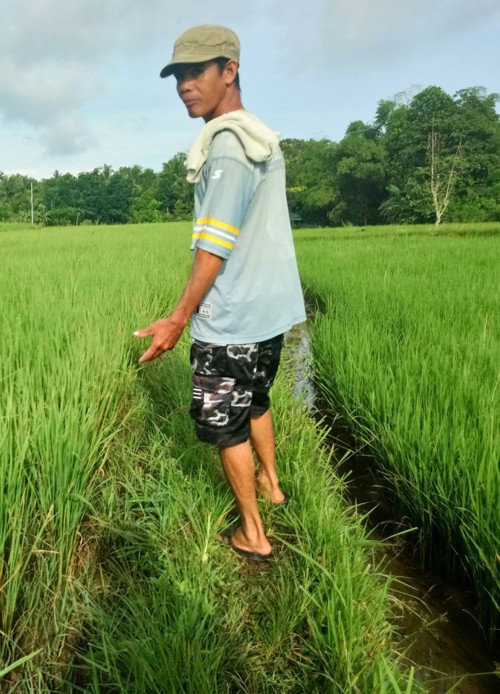 مزارع هندي يضع صورة ممثلة إباحية في أرضه..والسبب؟
