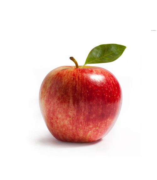 تفاحة عادية يبلغ ثمنها 500 دولار أمريكي..فما السبب؟