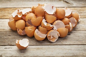 4 أسباب تدفعك لتناول قشر البيض