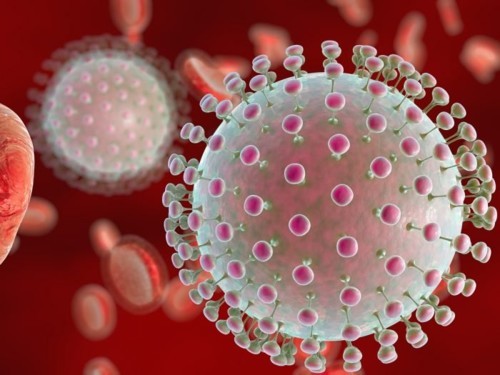 7 علاجات طبيعية لفيروس زيكا