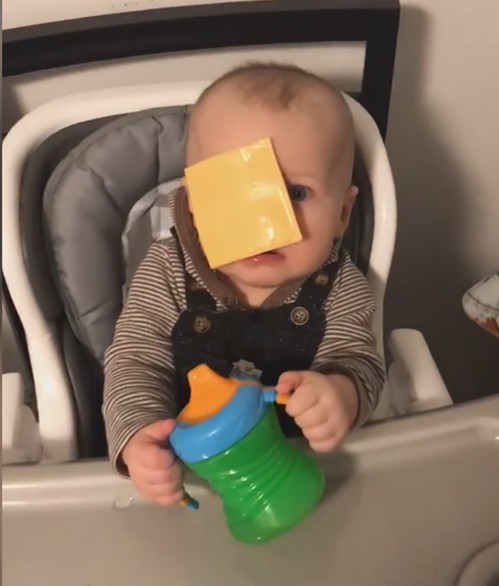 بالفيديو:"تحدي الجبن" يكسح الإنترنت!