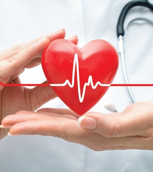 أبرز أسباب أمراض القلب: نمط الحياة والنظام الغذائي