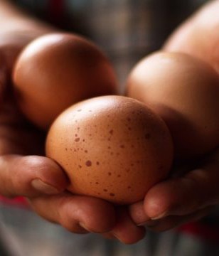 أكثر كمية بيض محمولة في يد واحدة!
