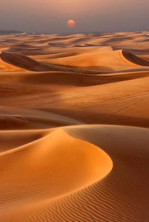 فيلم في الصحراء...