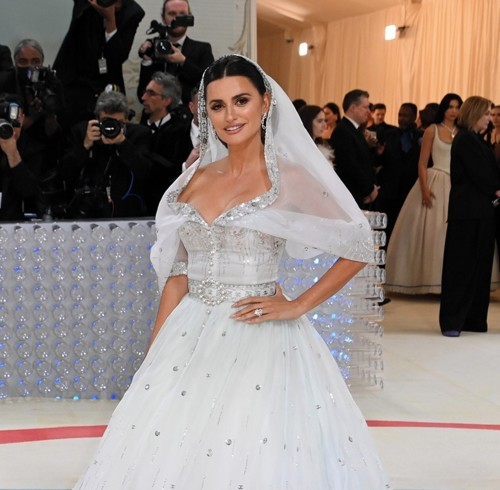 شاهدوا أبرز إطلالات حفل Met Gala لعام 2023