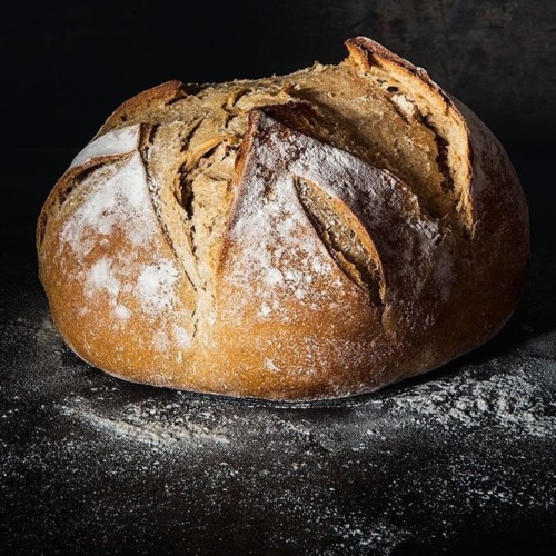 اكتشاف أقدم رغيف خبز في العالم، عمره أكثر من 8000 عام!