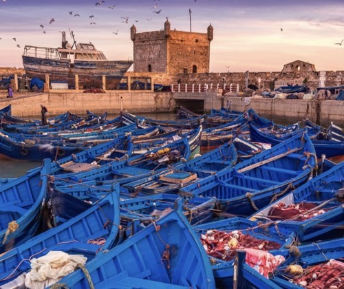 أفضل 5 مدن في المغرب لاستكشاف أروع المعالم