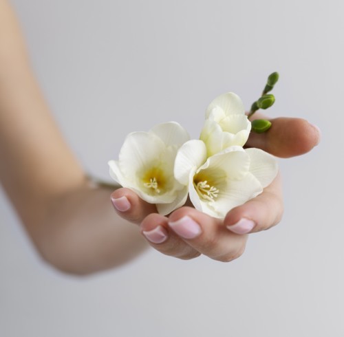 أجمل عطور الفانيليا لإحساس دافئ في الخريف