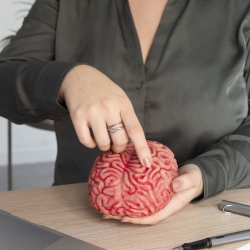 الكوليسترول والدماغ بين الضرورة والأثر على الذاكرة
