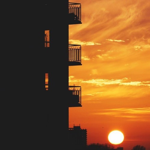 كيف أتخلص من هؤلاء المزعجين؟