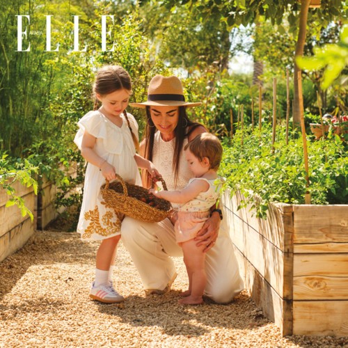 ديسكفري ديونز... ملاذٌ حصري في دبي